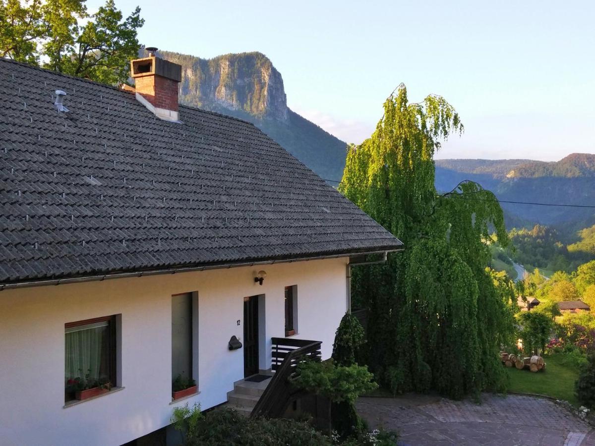 Spacious Bled