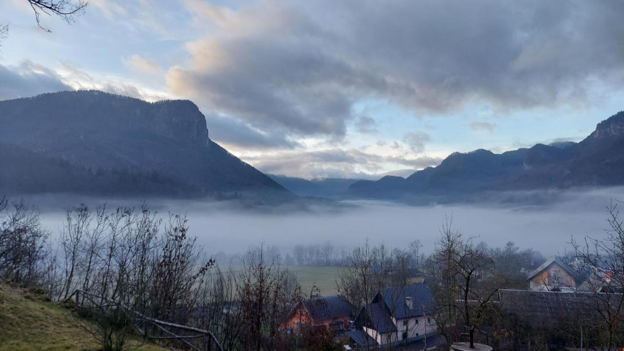 Spacious * Bled